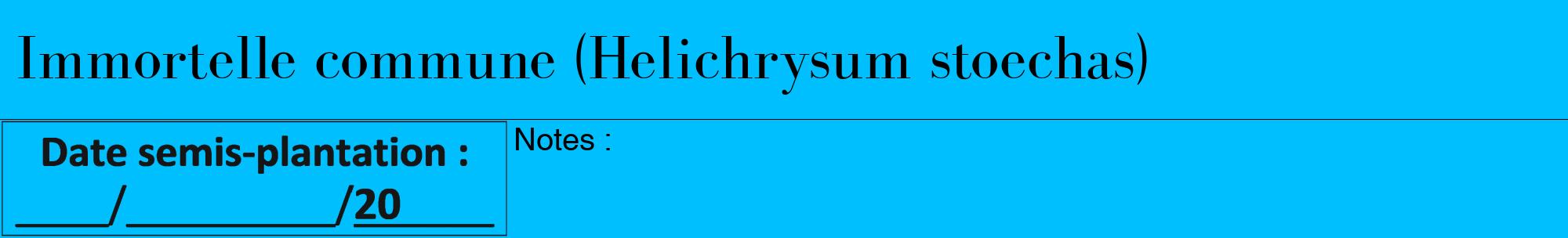 Étiquette de : Helichrysum stoechas - format a - style noire2bod avec comestibilité