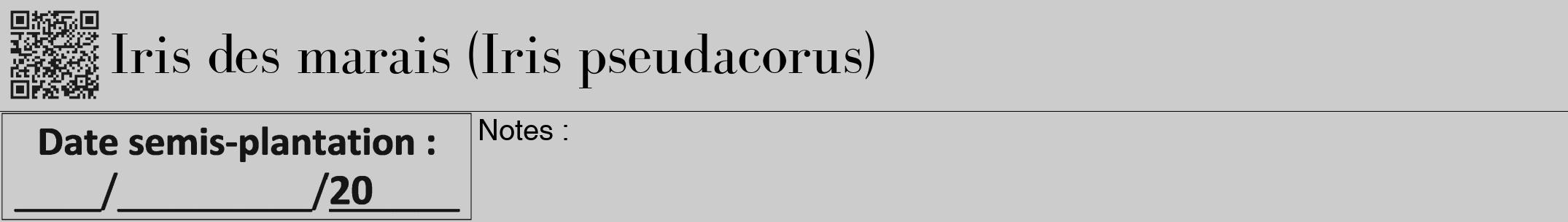 Étiquette de : Iris pseudacorus - format a - style noire0bod avec qrcode et comestibilité