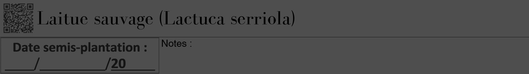 Étiquette de : Lactuca serriola - format a - style noire33bod avec qrcode et comestibilité