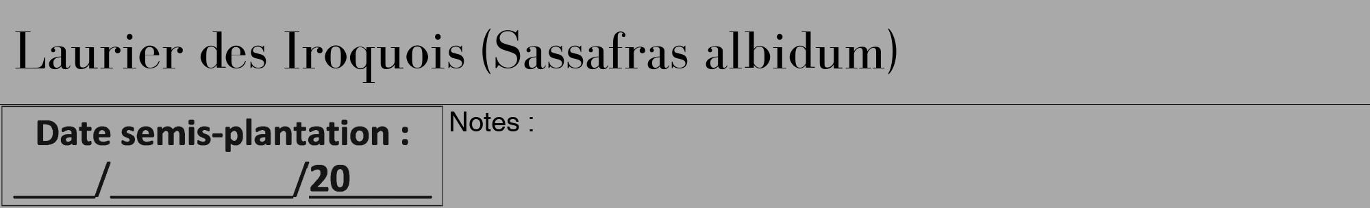 Étiquette de : Sassafras albidum - format a - style noire13bod avec comestibilité