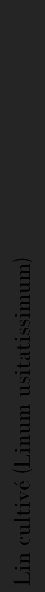 Étiquette de : Linum usitatissimum - format a - style noire47bod avec comestibilité - position verticale