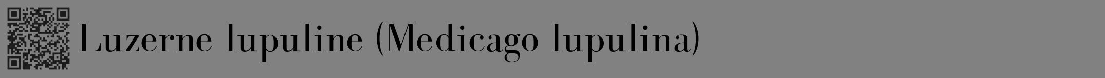 Étiquette de : Medicago lupulina - format a - style noire50bod avec qrcode et comestibilité