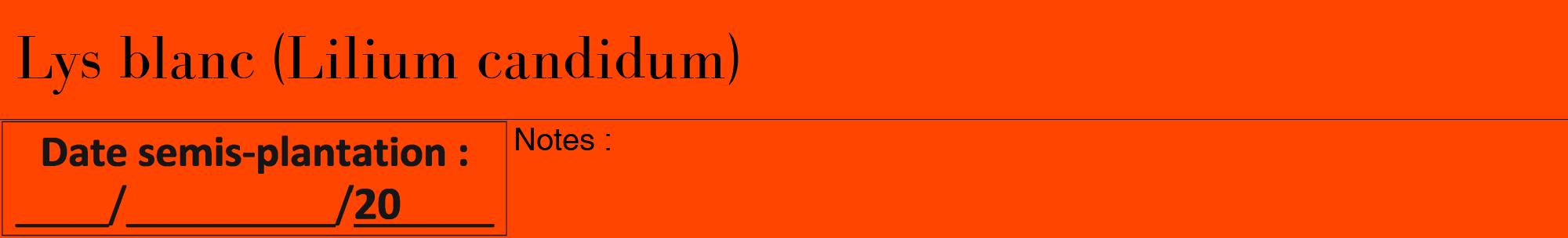 Étiquette de : Lilium candidum - format a - style noire26bod avec comestibilité