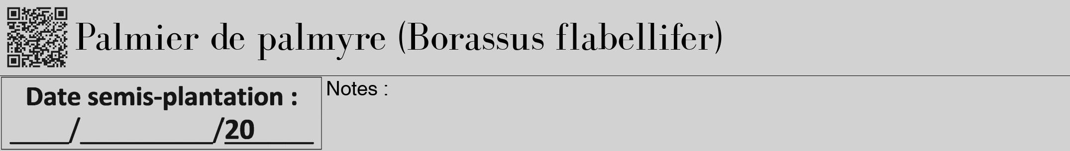 Étiquette de : Borassus flabellifer - format a - style noire14bod avec qrcode et comestibilité