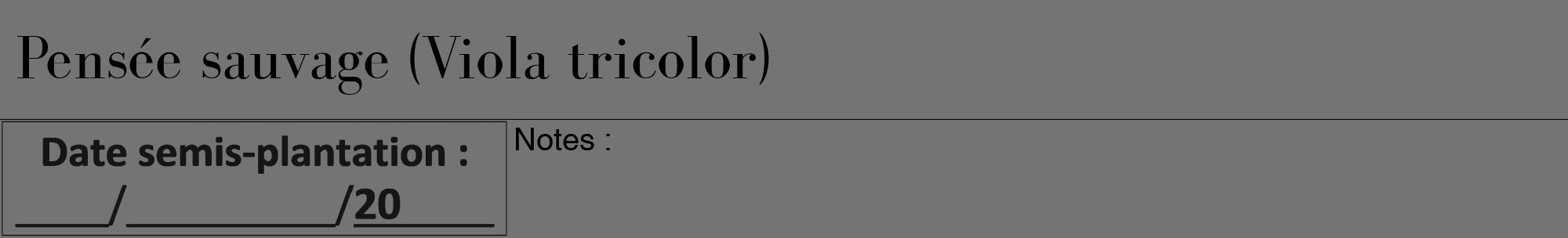 Étiquette de : Viola tricolor - format a - style noire26bod avec comestibilité