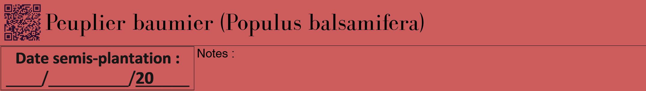 Étiquette de : Populus balsamifera - format a - style noire35bod avec qrcode et comestibilité