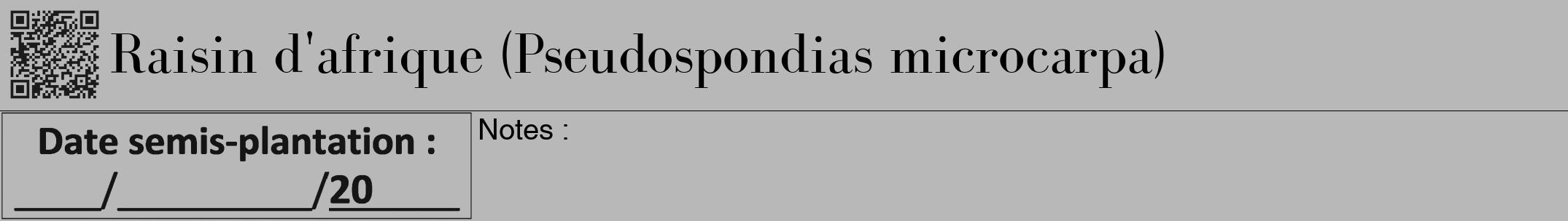 Étiquette de : Pseudospondias microcarpa - format a - style noire39bod avec qrcode et comestibilité
