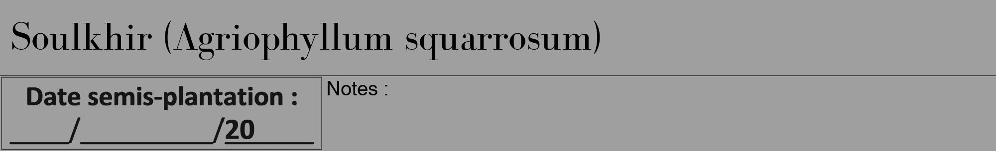 Étiquette de : Agriophyllum squarrosum - format a - style noire24bod avec comestibilité