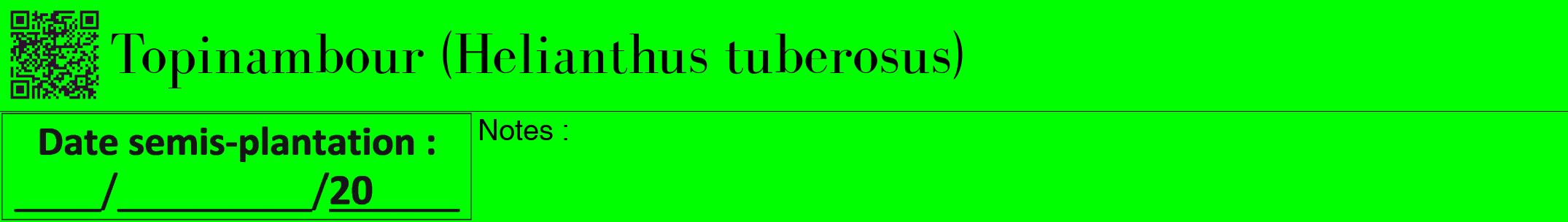 Étiquette de : Helianthus tuberosus - format a - style noire16bod avec qrcode et comestibilité