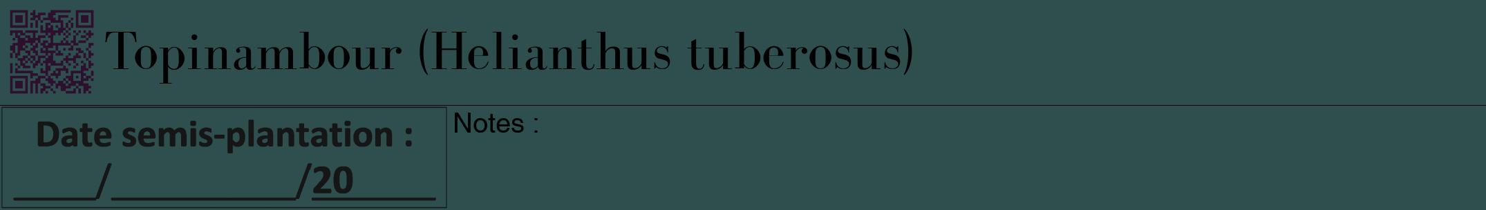 Étiquette de : Helianthus tuberosus - format a - style noire58bod avec qrcode et comestibilité