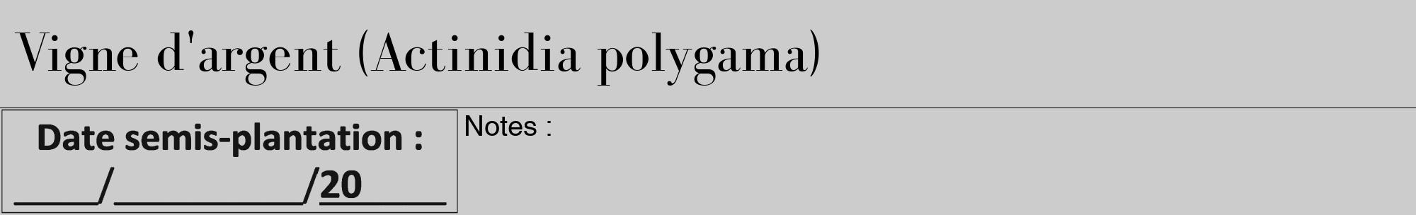 Étiquette de : Actinidia polygama - format a - style noire0bod avec comestibilité