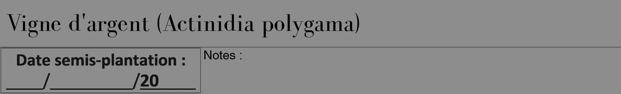 Étiquette de : Actinidia polygama - format a - style noire2bod avec comestibilité