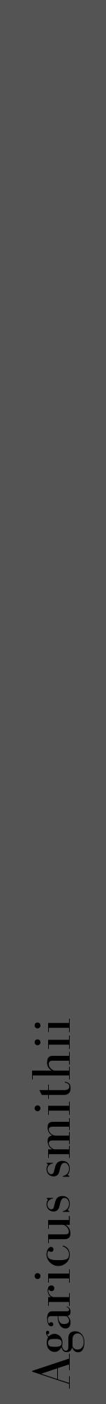 Étiquette de : Agaricus smithii - format a - style noire30bod avec comestibilité - position verticale