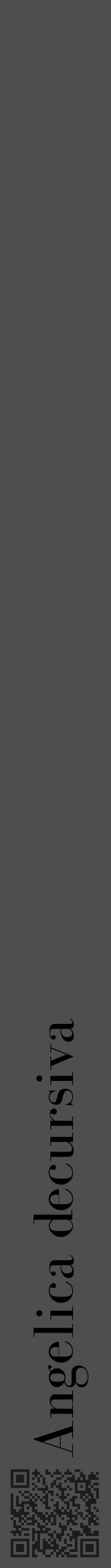 Étiquette de : Angelica decursiva - format a - style noire33bod avec qrcode et comestibilité - position verticale
