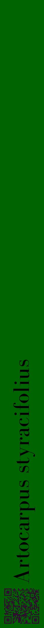 Étiquette de : Artocarpus styracifolius - format a - style noire8bod avec qrcode et comestibilité