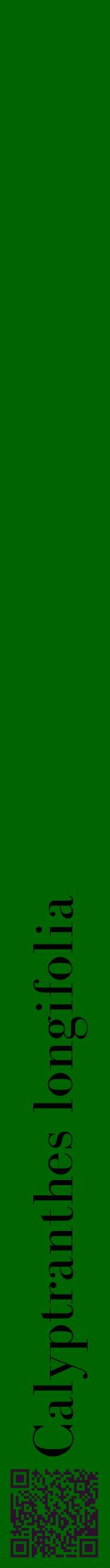 Étiquette de : Calyptranthes longifolia - format a - style noire8bod avec qrcode et comestibilité