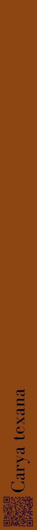 Étiquette de : Carya texana - format a - style noire30bod avec qrcode et comestibilité