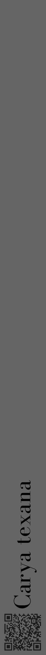 Étiquette de : Carya texana - format a - style noire32bod avec qrcode et comestibilité - position verticale