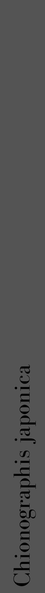 Étiquette de : Chionographis japonica - format a - style noire36bod avec comestibilité - position verticale