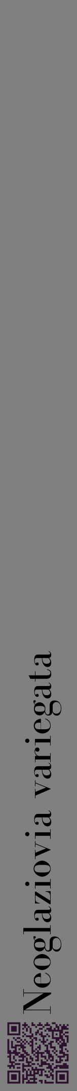 Étiquette de : Neoglaziovia variegata - format a - style noire57bod avec qrcode et comestibilité