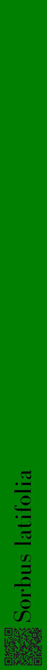 Étiquette de : Sorbus latifolia - format a - style noire9bod avec qrcode et comestibilité