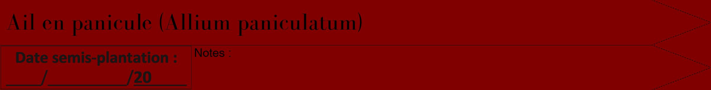 Étiquette de : Allium paniculatum - format b - style noire29bod avec comestibilité