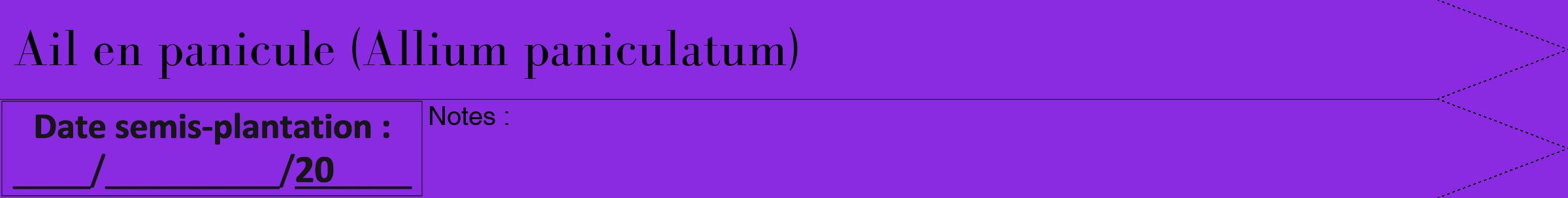 Étiquette de : Allium paniculatum - format b - style noire49bod avec comestibilité