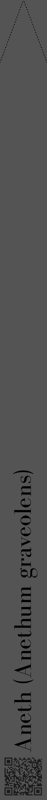 Étiquette de : Anethum graveolens - format b - style noire30bod avec qrcode et comestibilité - position verticale