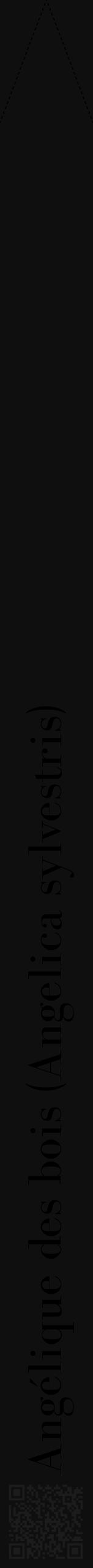 Étiquette de : Angelica sylvestris - format b - style noire7bod avec qrcode et comestibilité - position verticale