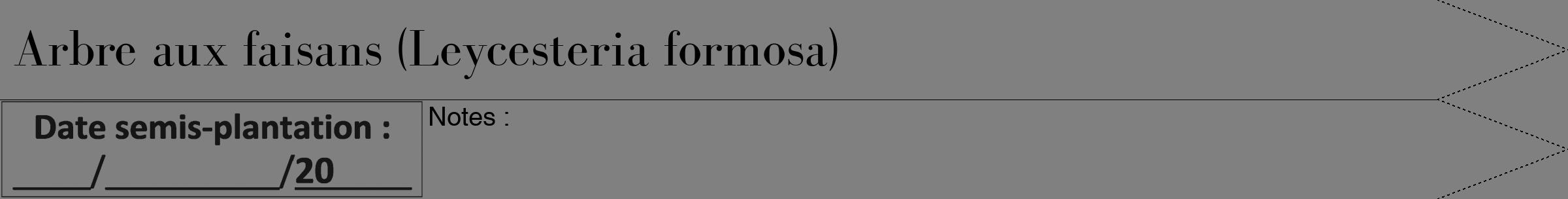 Étiquette de : Leycesteria formosa - format b - style noire57bod avec comestibilité
