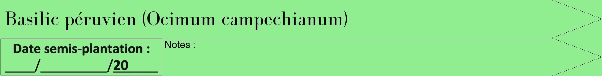 Étiquette de : Ocimum campechianum - format b - style noire15bod avec comestibilité