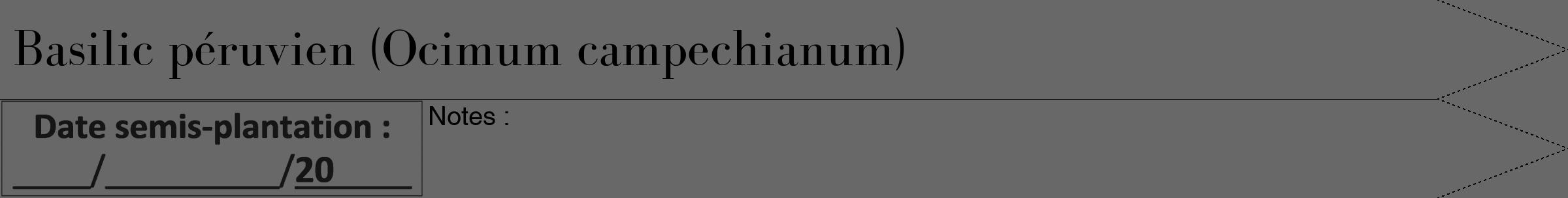 Étiquette de : Ocimum campechianum - format b - style noire6bod avec comestibilité