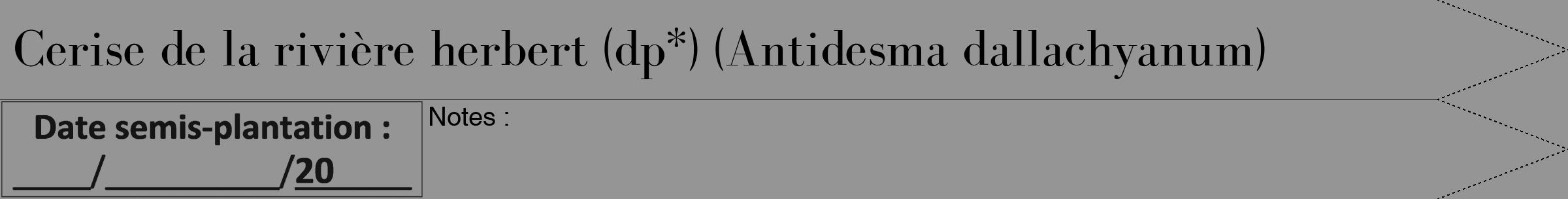 Étiquette de : Antidesma dallachyanum - format b - style noire16bod avec comestibilité