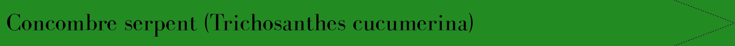 Étiquette de : Trichosanthes cucumerina - format b - style noire10simplebod avec comestibilité