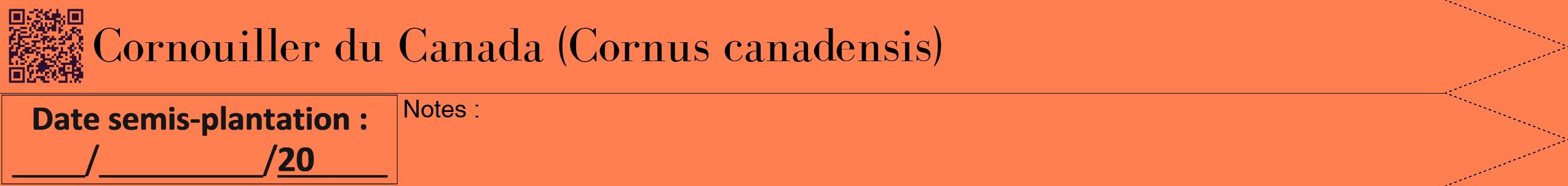 Étiquette de : Cornus canadensis - format b - style noire24bod avec qrcode et comestibilité