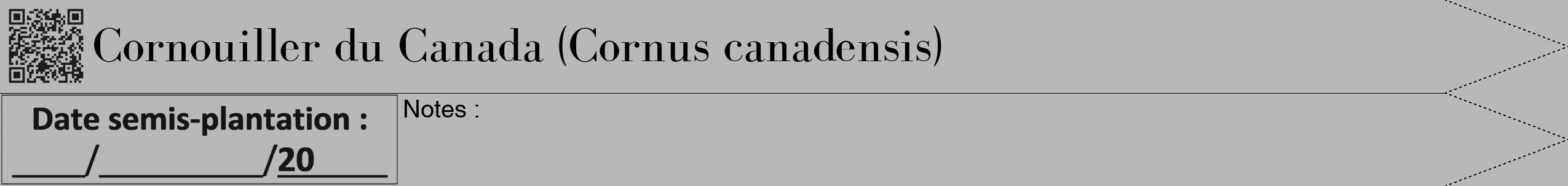 Étiquette de : Cornus canadensis - format b - style noire39bod avec qrcode et comestibilité