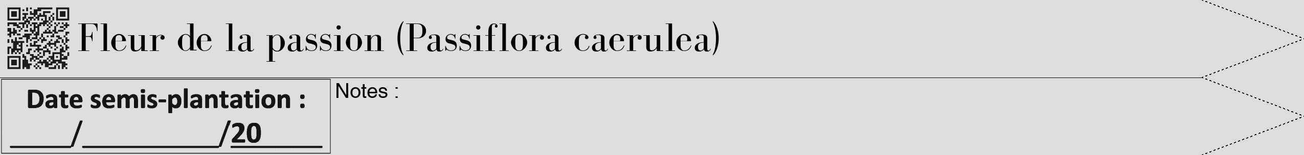 Étiquette de : Passiflora caerulea - format b - style noire20bod avec qrcode et comestibilité