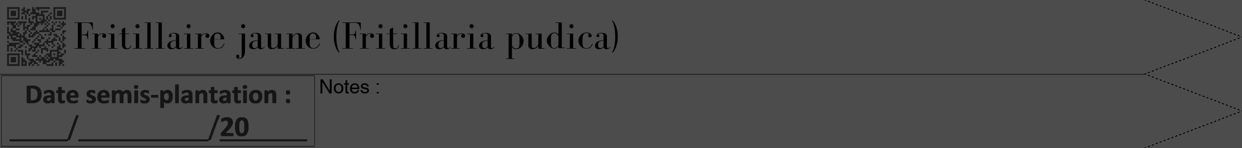 Étiquette de : Fritillaria pudica - format b - style noire27bod avec qrcode et comestibilité