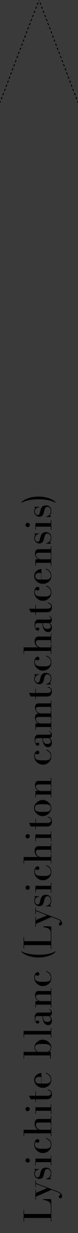 Étiquette de : Lysichiton camtschatcensis - format b - style noire8bod avec comestibilité - position verticale