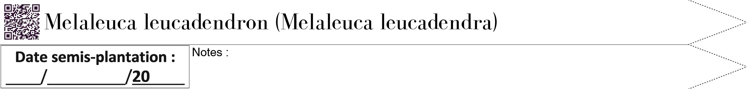 Étiquette de : Melaleuca leucadendra - format b - style noire60bod avec qrcode et comestibilité