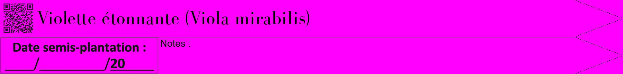 Étiquette de : Viola mirabilis - format b - style noire51bod avec qrcode et comestibilité