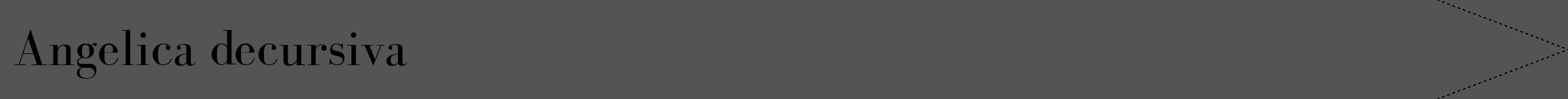 Étiquette de : Angelica decursiva - format b - style noire36bod avec comestibilité