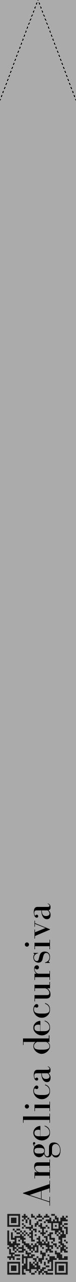 Étiquette de : Angelica decursiva - format b - style noire37bod avec qrcode et comestibilité - position verticale