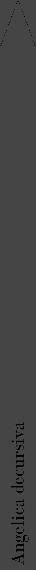 Étiquette de : Angelica decursiva - format b - style noire58bod avec comestibilité - position verticale
