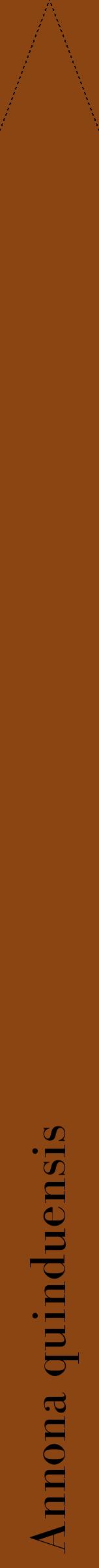 Étiquette de : Annona quinduensis - format b - style noire30bod avec comestibilité