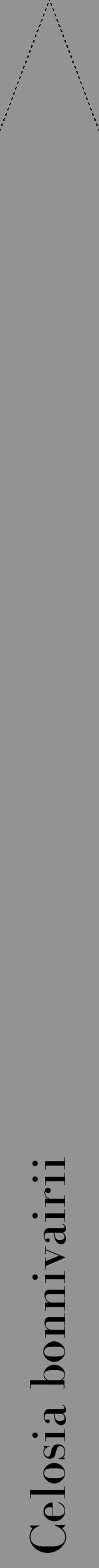 Étiquette de : Celosia bonnivairii - format b - style noire44bod avec comestibilité - position verticale