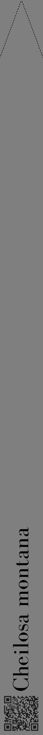 Étiquette de : Cheilosa montana - format b - style noire31bod avec qrcode et comestibilité - position verticale