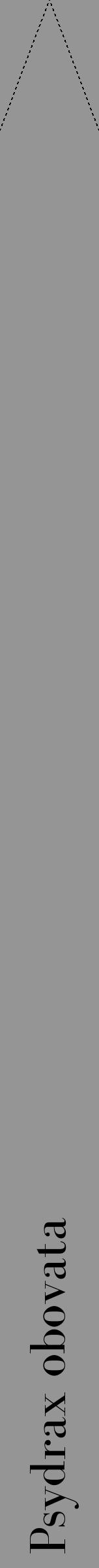 Étiquette de : Psydrax obovata - format b - style noire16bod avec comestibilité - position verticale