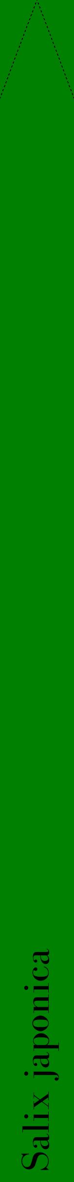 Étiquette de : Salix japonica - format b - style noire9bod avec comestibilité