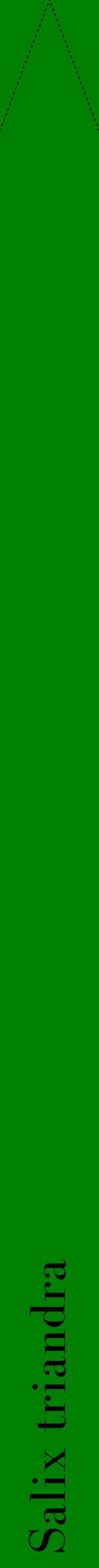 Étiquette de : Salix triandra - format b - style noire9bod avec comestibilité
